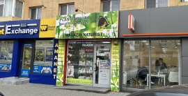 Despre noi