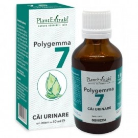 Polygemma 7, Cai urinare, 50 ml, Plantextrakt